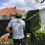 Tree Pruning vs Tree Trimming in Auckland: What’s the Difference?