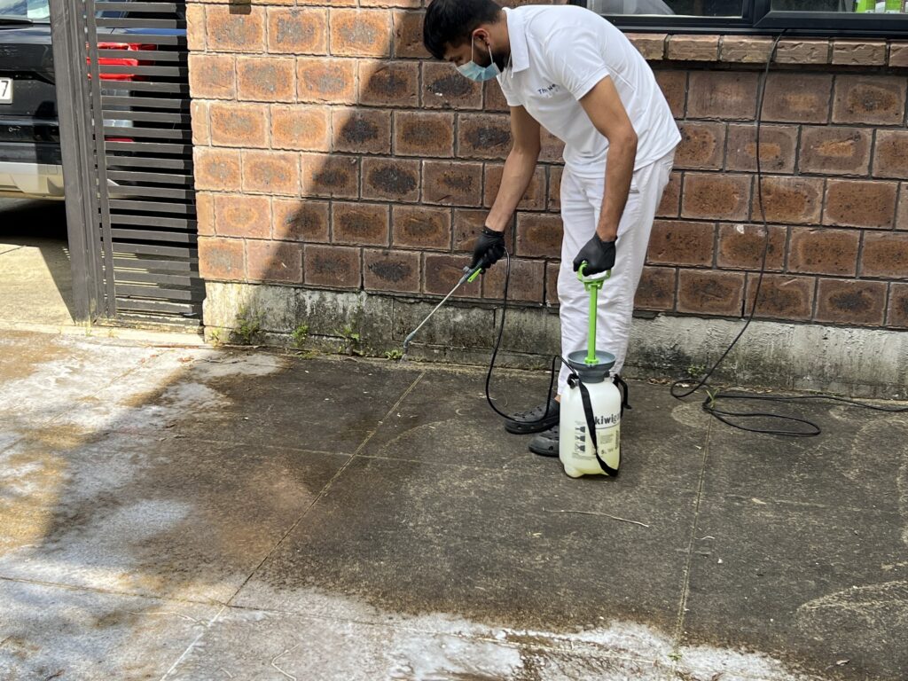 pressure washing auckland